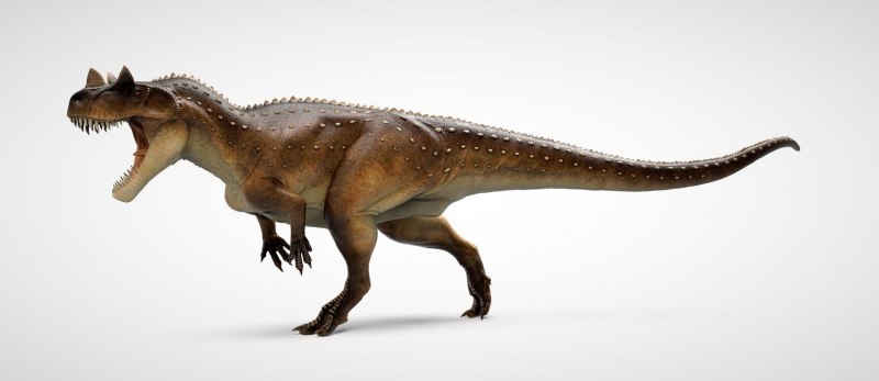 Цератозавр арт