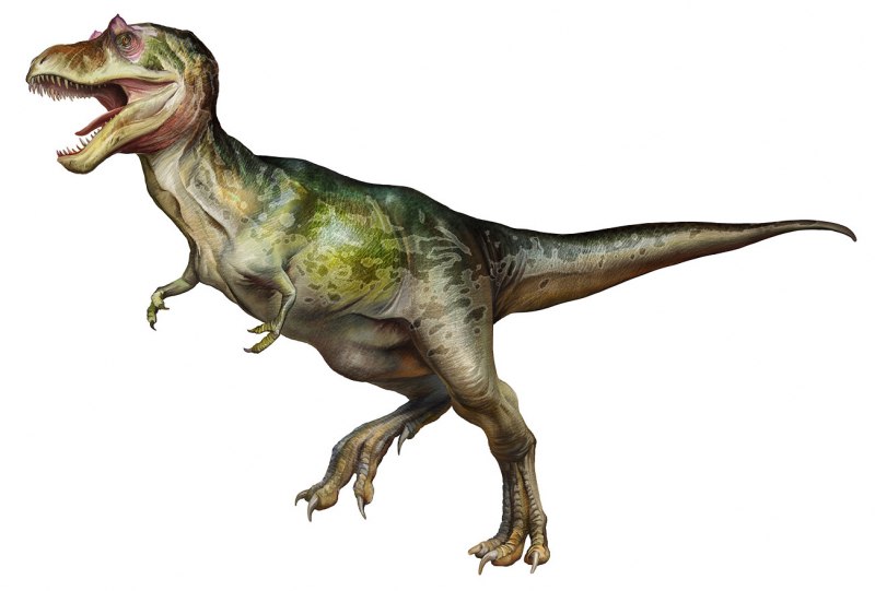 Альбертозавр доисторический парк