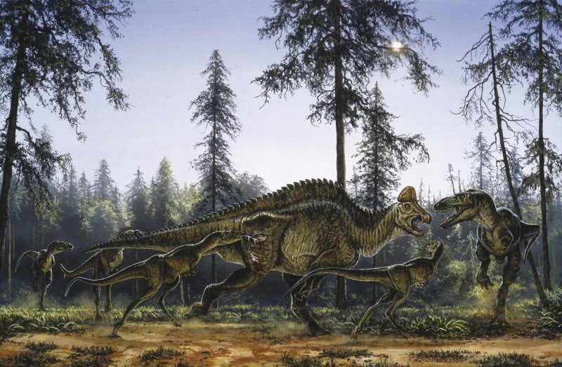 Поход динозавров