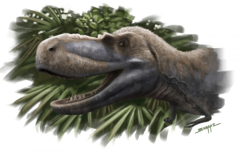 Albertosaurus Sarcophagus