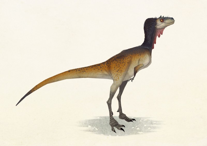 Спинозавр Эгеркранс