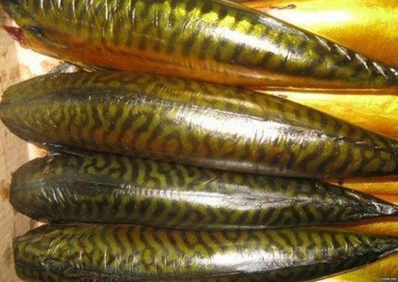 Макрель холодного копчения