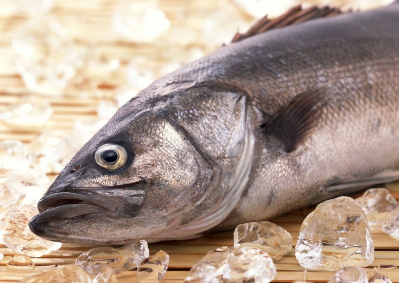 Норвежская треска