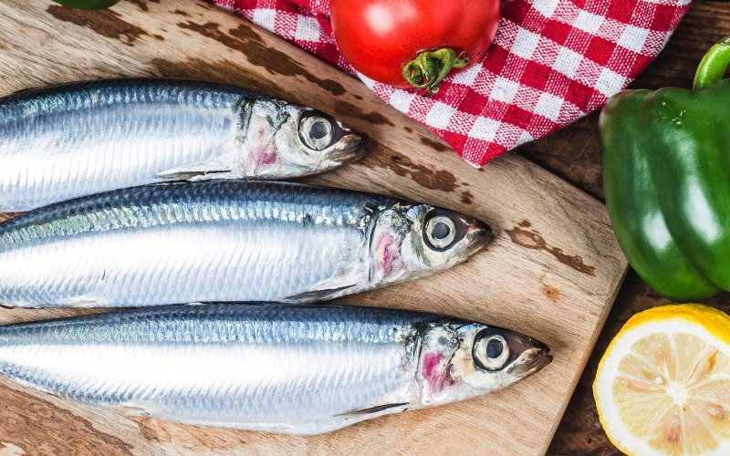 Анчоус рыба