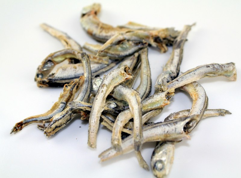 Калифорнийский анчоус