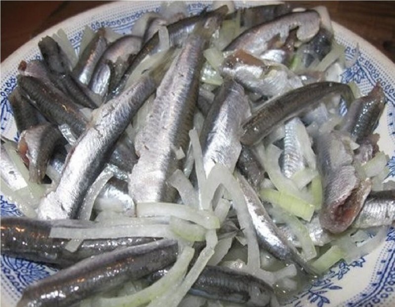 Анчоус живой