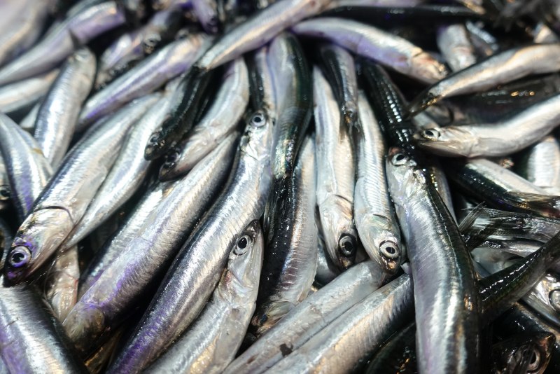 Турецкие анчоусы