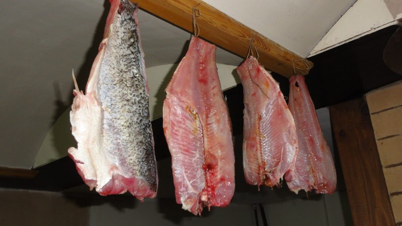 Жерех рыба балык