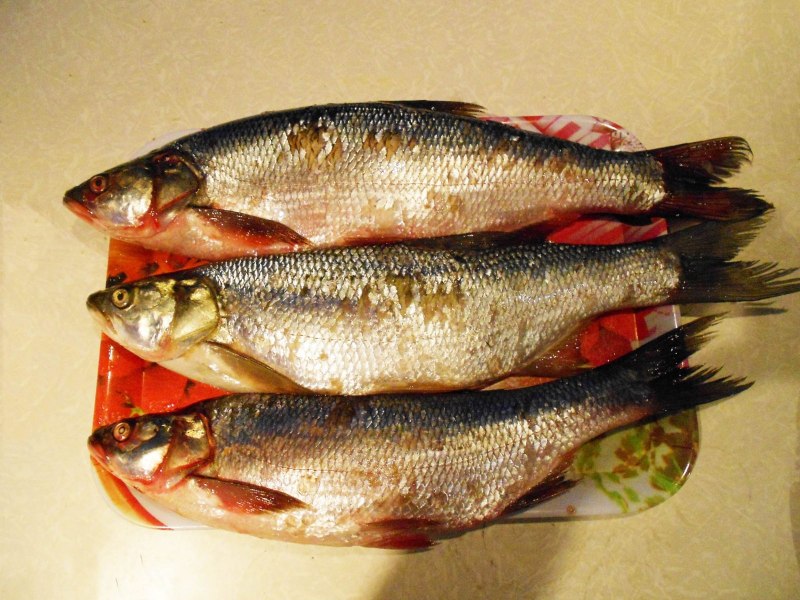 Вяленый жерех балык