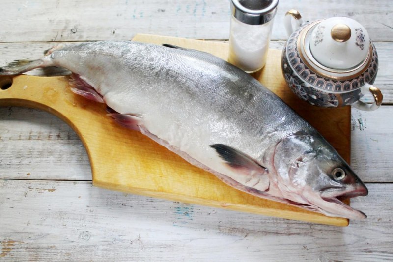 Жерех рыба балык