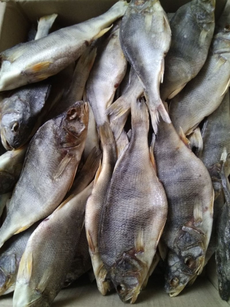 Охлажденная рыба