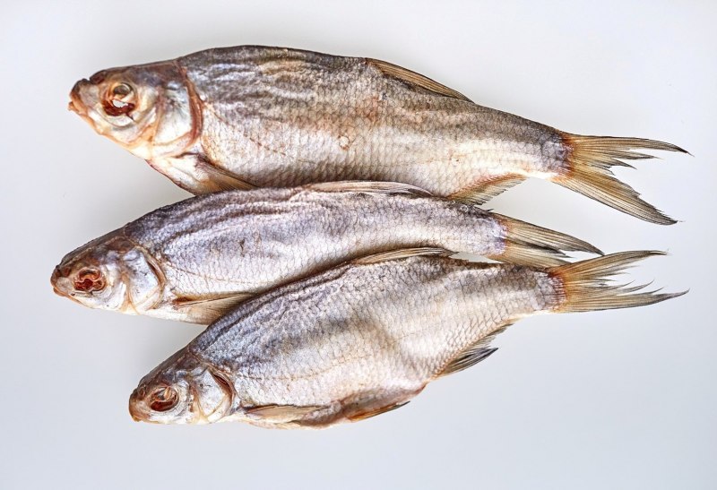 Синец таранка