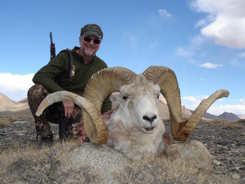 Архар Марко поло