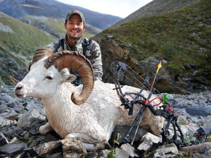 Архар Марко поло