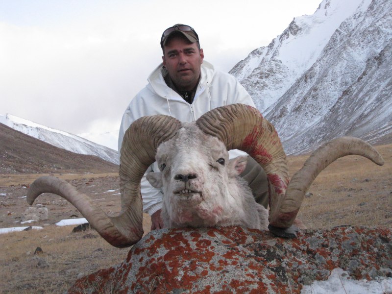 Горный козел Марко поло