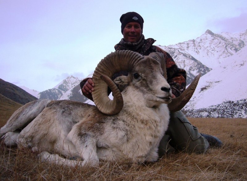 Памир горы Винторогий козел