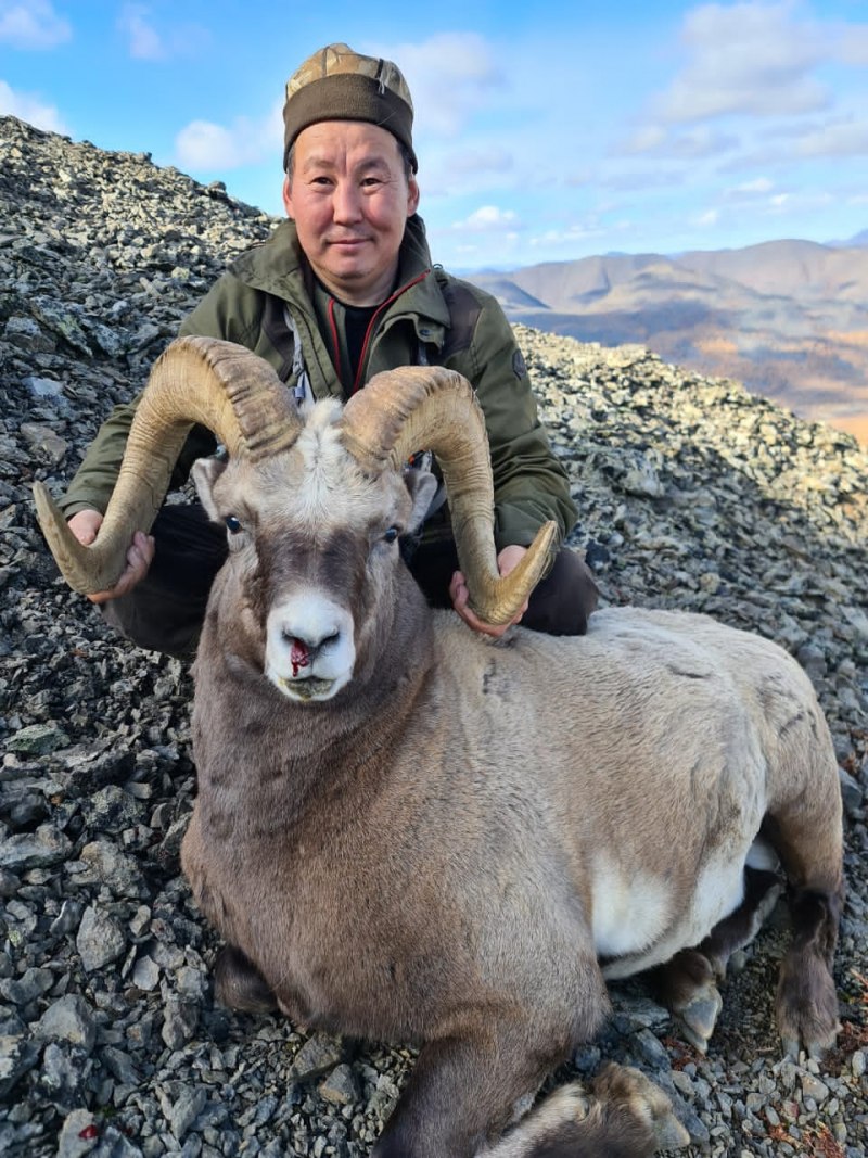 Марко поло Архар Памир