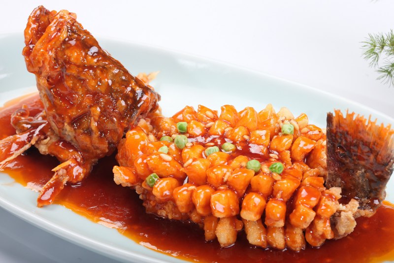 Летяга обыкновенная зимой