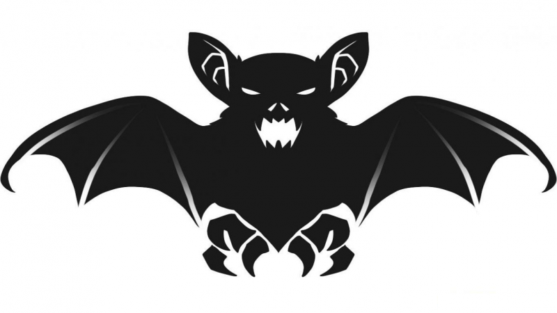 Кошка с крыльями