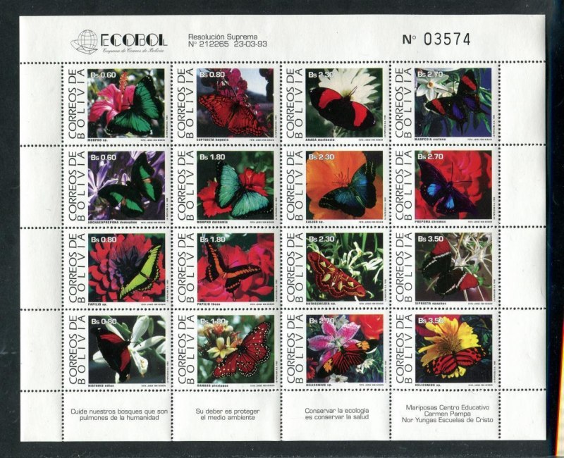 Национальный парк Мадиди бабочки