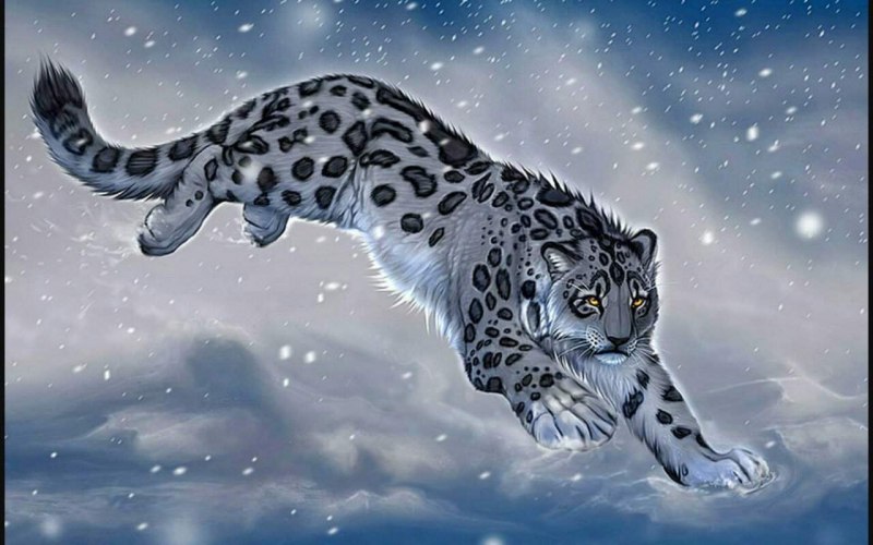 Снежный Барс 4к