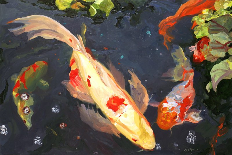 Карпы кои вуалехвостые