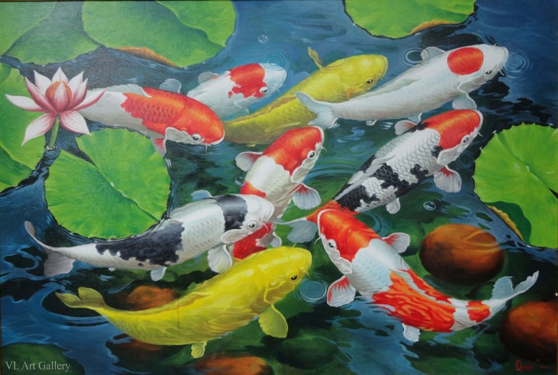 Карп кои китайский пруд