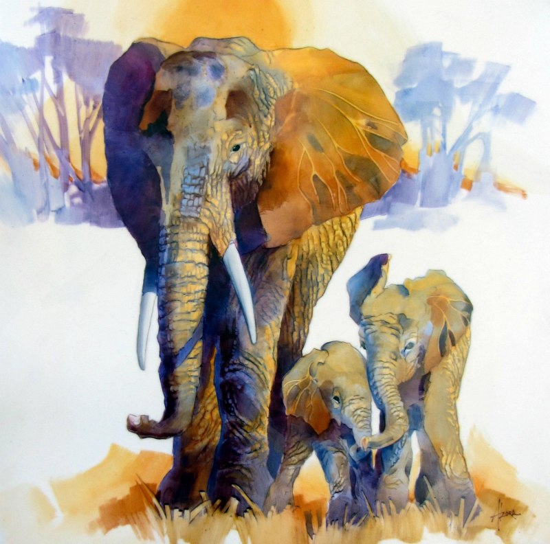 Гималайский слон