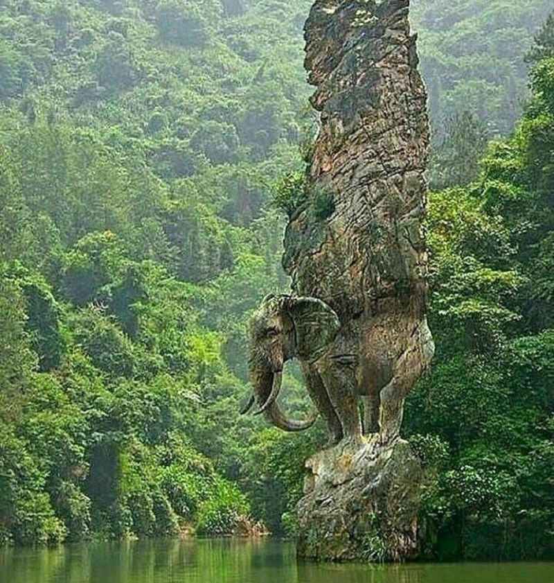 Национальный день тайского слона