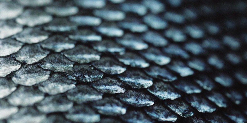 Рыбья чешуя