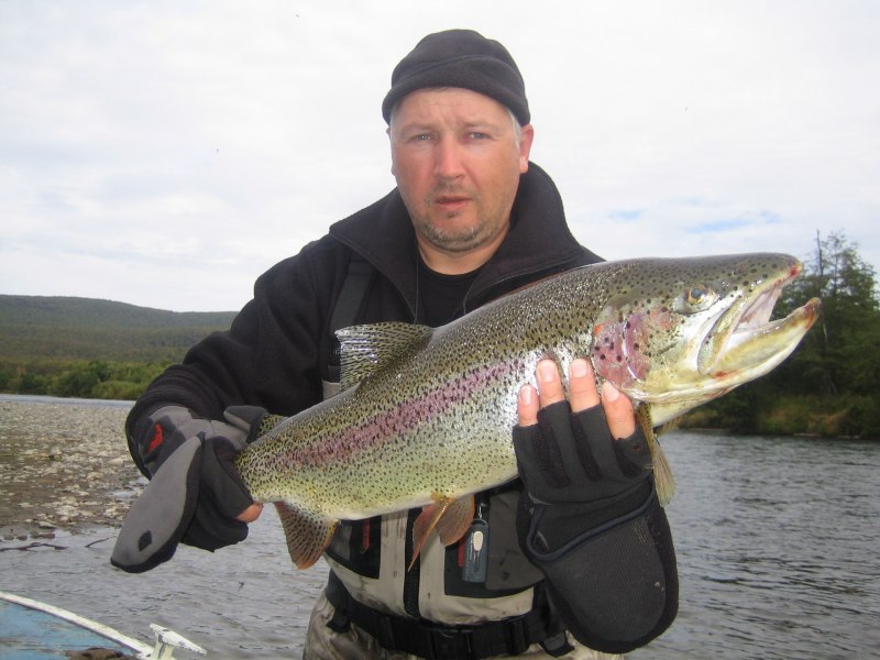 Камчатская рыба микижа