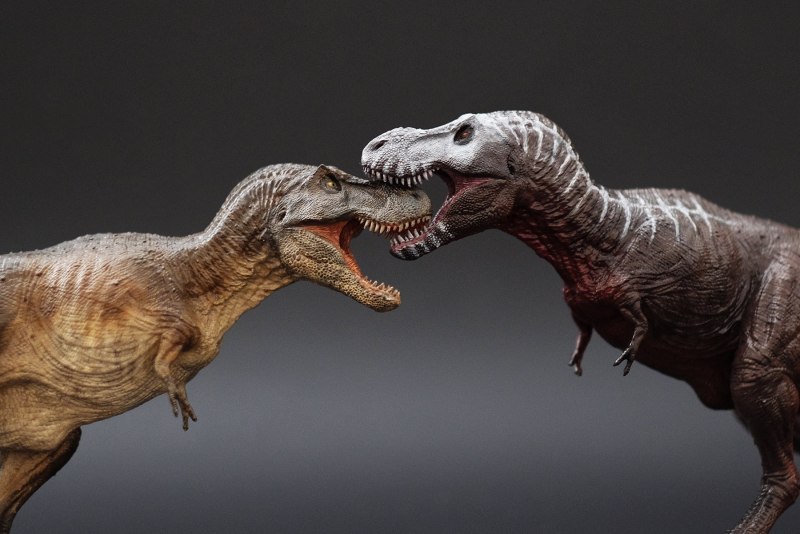 Tyrannosaurus Rex Sue Reconstruction