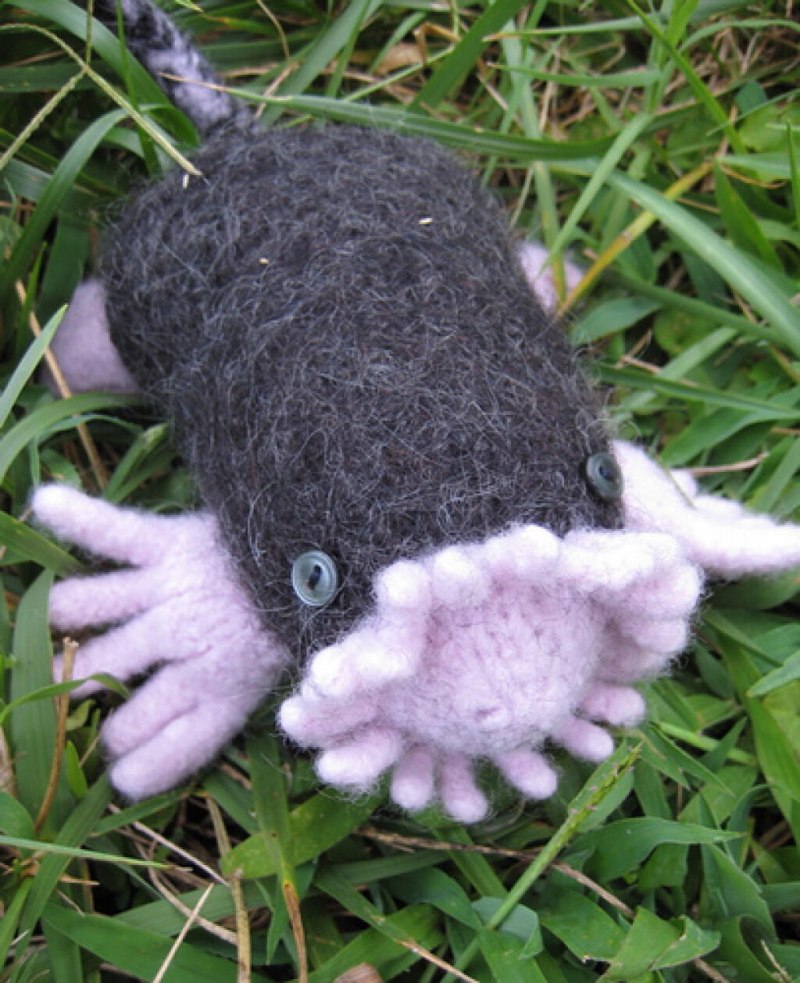 Крот слепыш глаза