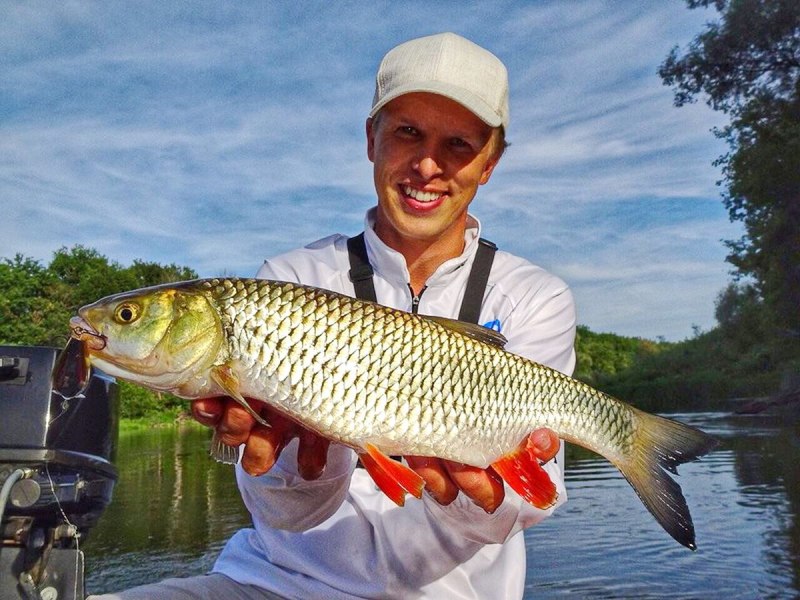 Голавль Черноморский