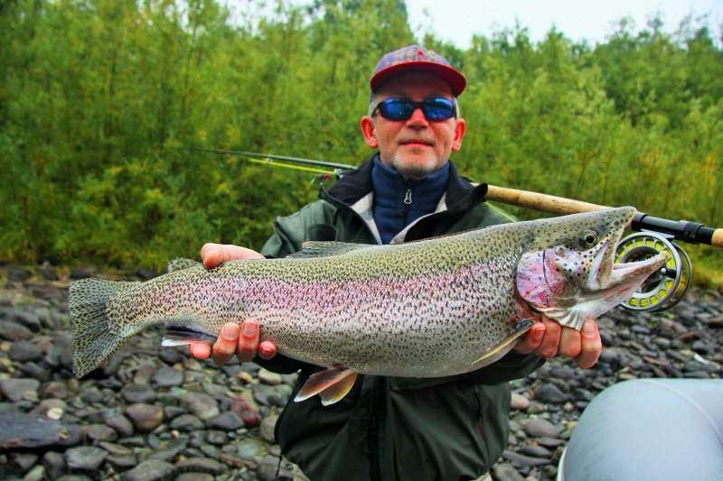 Микижа Радужная форель