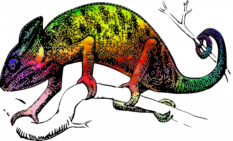 Фиолетовая игуана