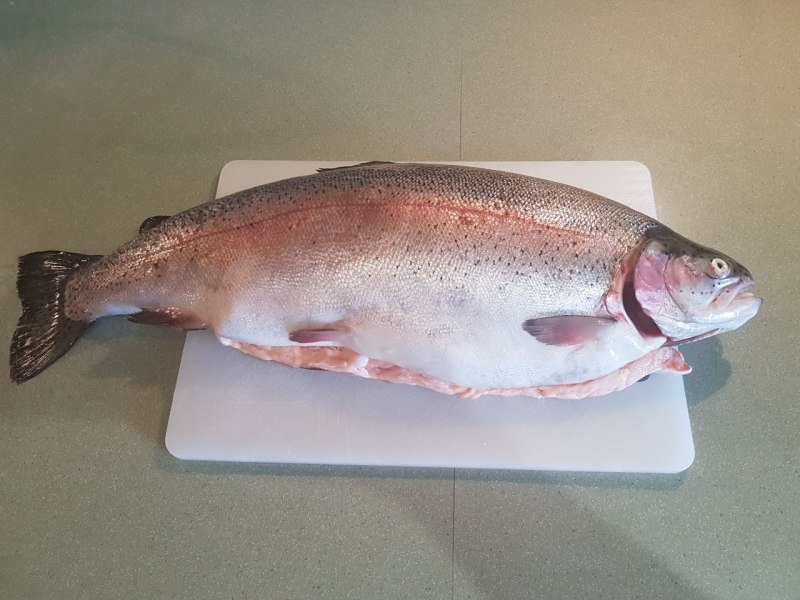 Рыба на луковой подушке