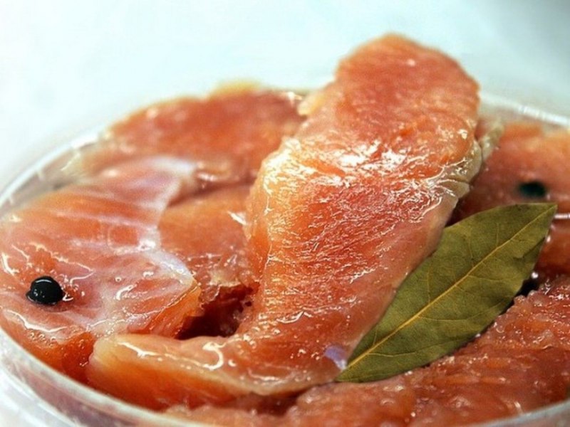 Белорыбица пангасиус