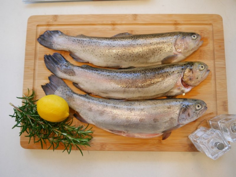 Палия рыба Ладожская