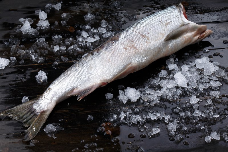 Форель охлажденная потрошеная