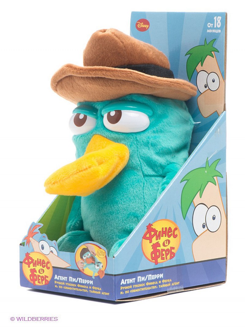 Утконос животное