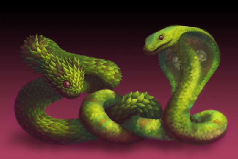 Змея гадюка