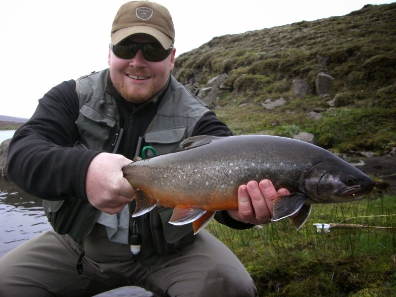 Форель голец