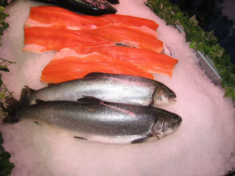 Голец Даватчан