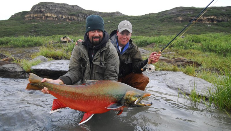 Палия и Арктический голец
