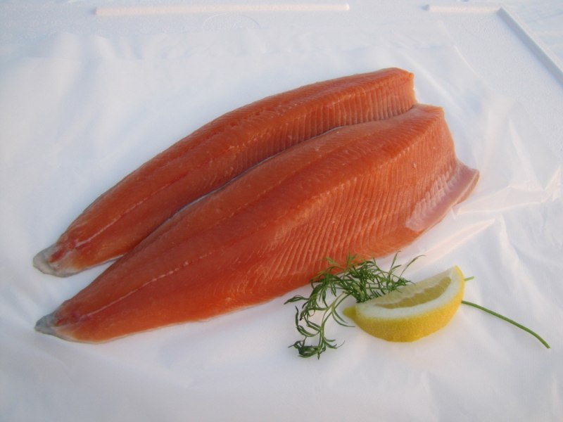 Кумжа, голец Хибины