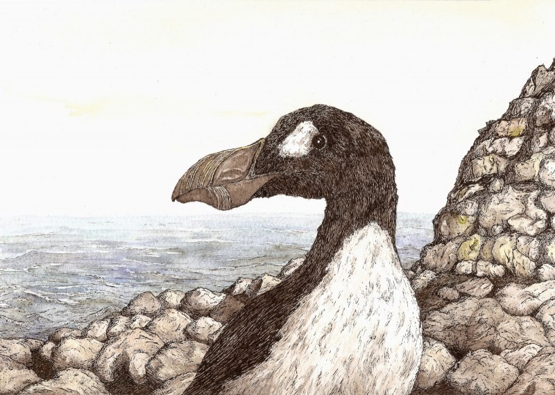 Дронт и бескрылая Гагарка