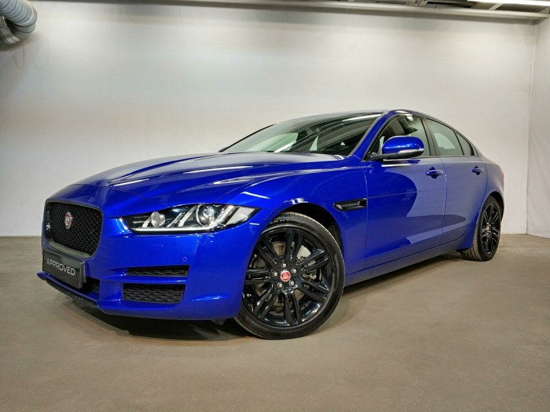 Голубой Ягуар Севастополь