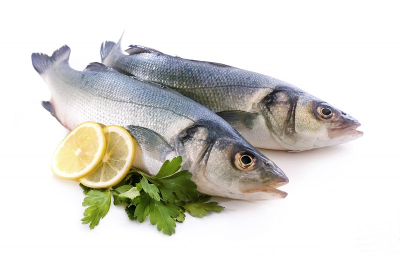 Лаврак рыба