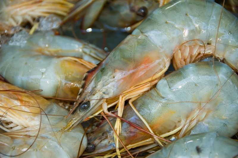 Креветки свежие